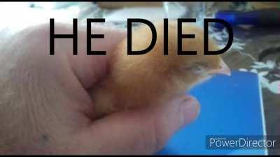 AHH HELLLLL NAHHHH 😭😭😭 SOMEONE REVIVE HIM