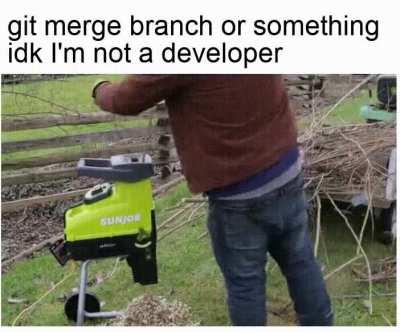 When you come back from a very long holiday