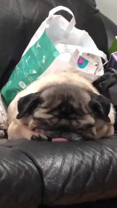 Ladies and gentlemen, my bread loaf.