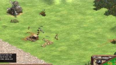 how to lure multiple boars at once