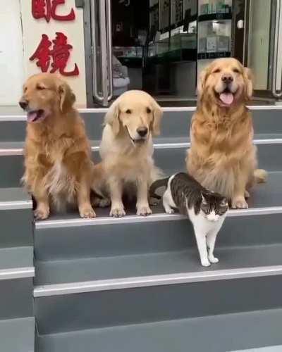 We are taking the photo.