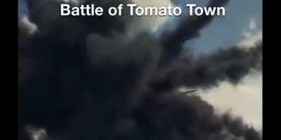 Battle of Tomato Town