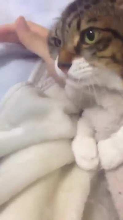 It's good to have hostage goals...