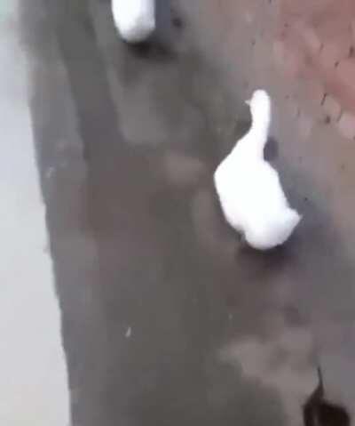 I'm just gonna leave this here