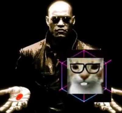 ESTILOZAP - Video #8089