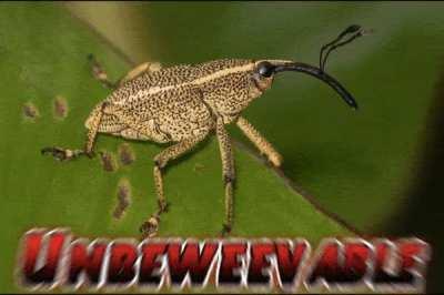 Told my kid about this sub and they sent me this gif