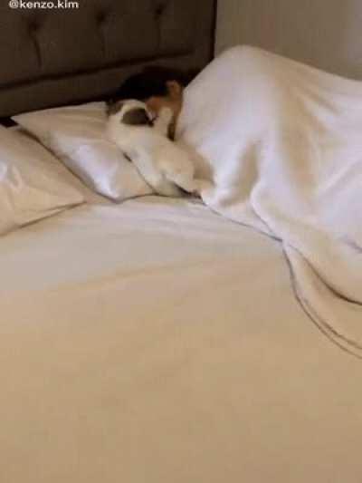 Who needs alarm when he's around.