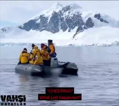 penguin jumped onto a tourists' boat to escape a killer whale