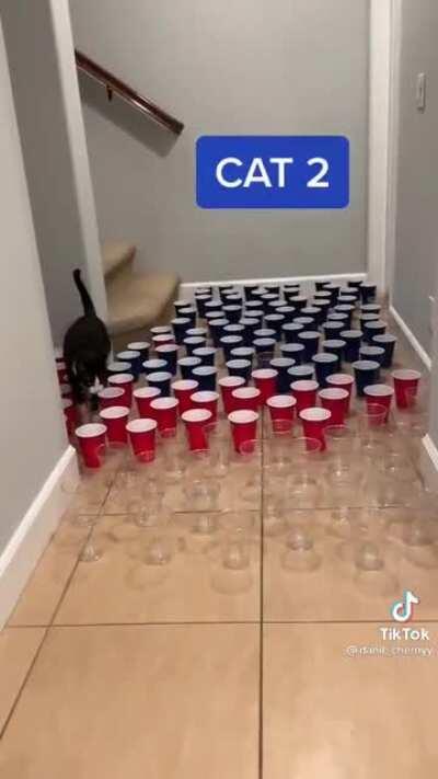 Ain’t nobody got time for that...