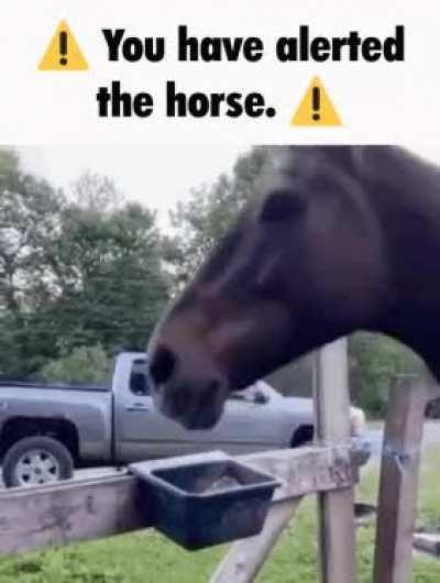 You have a hour to hide