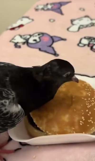 All out of seedless buns? No problem!