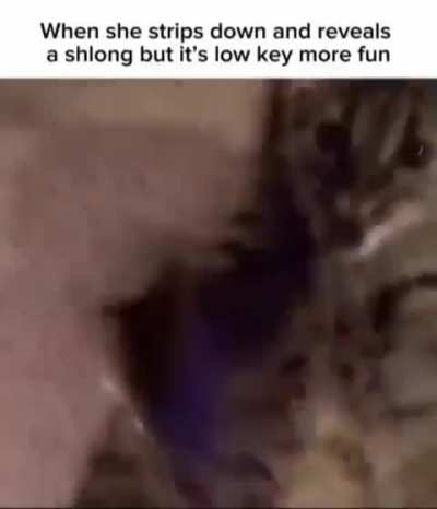 Yippyyy woooo wahhhhh yayyyy