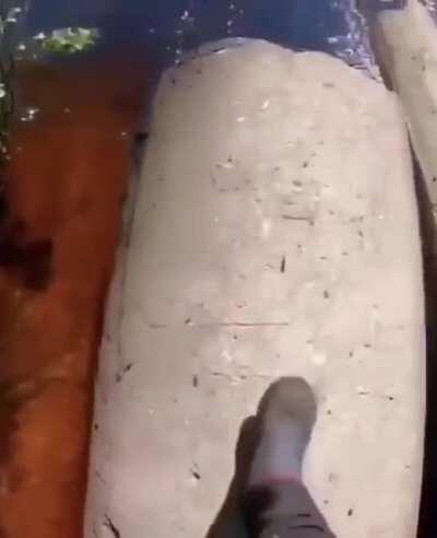 cool magic trick y’all