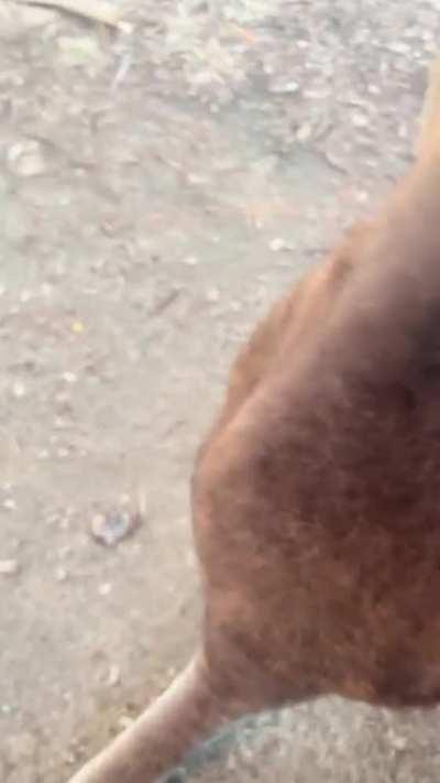 A kind stranger offering to help me set up camp this week