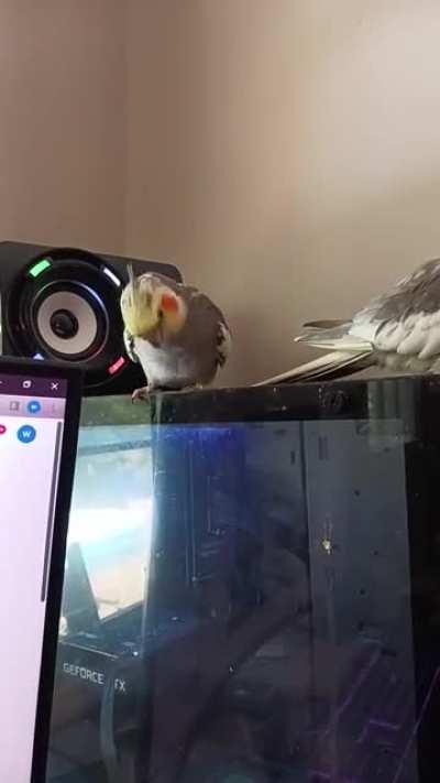 Gaston was ushered this way