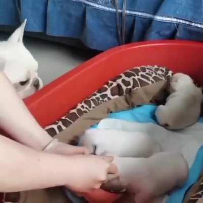 Good morning! Has everyone already had breakfast?