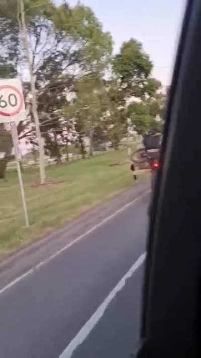 couch and spare bike moving service