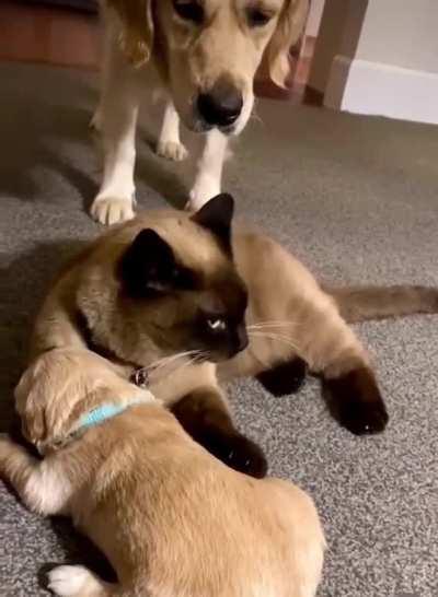 When you have to trust that friend to babysit