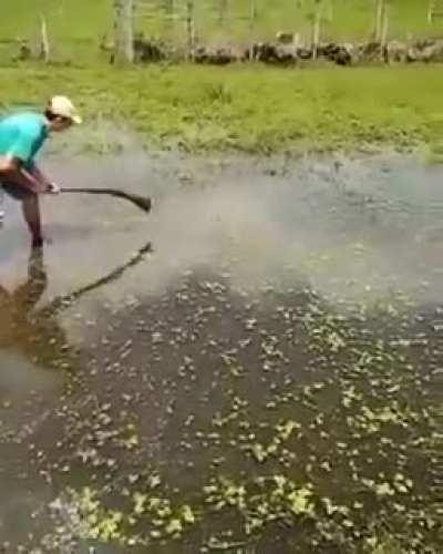 Hitting a fish with a rifle butt.