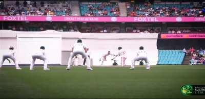 Take a look at this stunning 360° replay of David Warner's dismissal