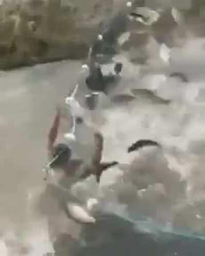 Ticket flow on Monday after weekend patching