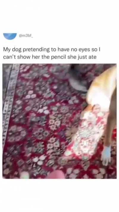 Dog fakes inability to avoid punishment