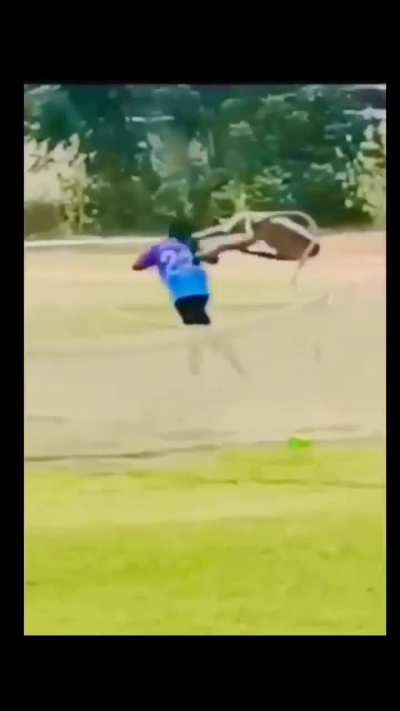 Travis Head encounters blue jerseys in the wild. 