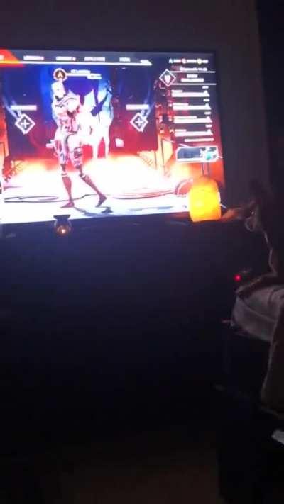 My puppy is horrified of Revenant