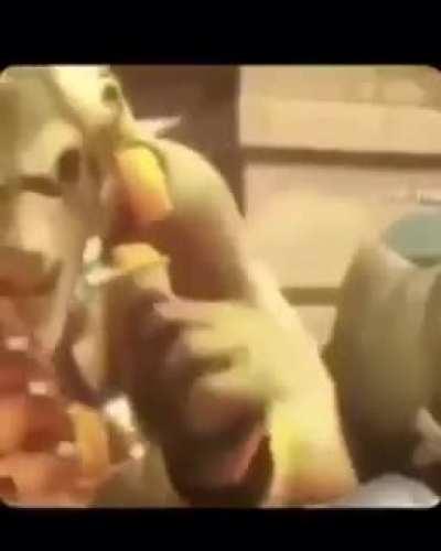 The US goverment trying to find a way to get rid of the 2.3 Trillion dollars of debt