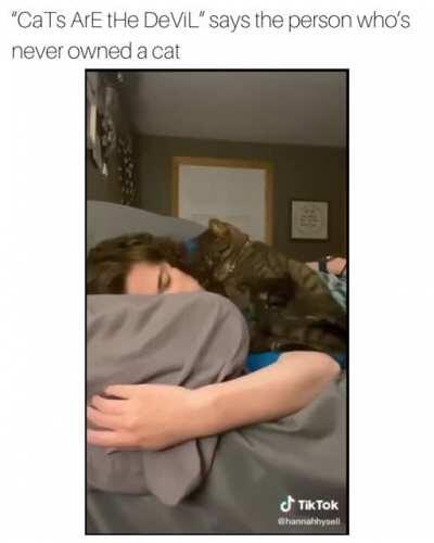 The Cat who trained himself to Cuddle.