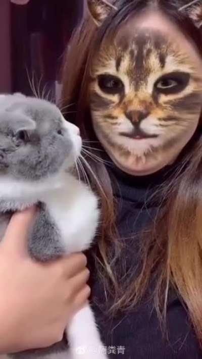 How to give your pet a nightmare