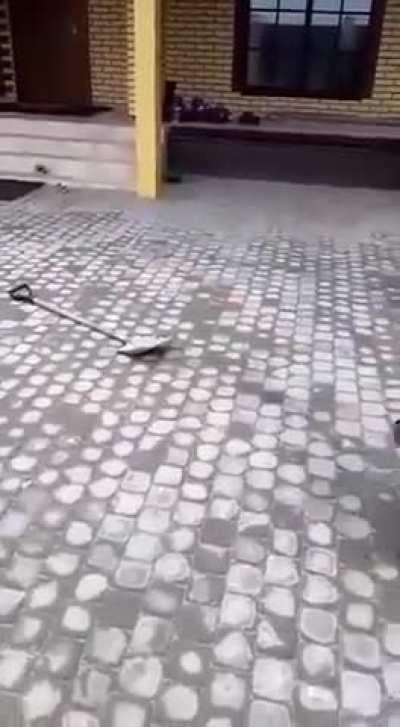 Well done little idiot