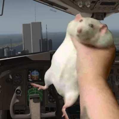 So that's who was behind the attack.