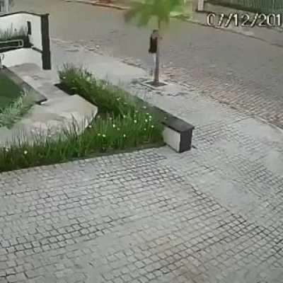 Man having problem with tree