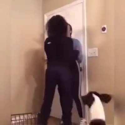 Lets just turn up at someones house and kick off (Bonus XP for dog bite)