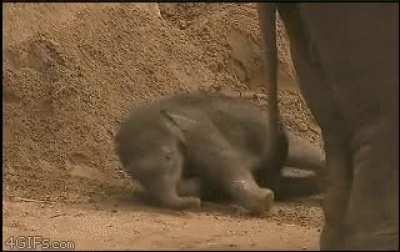 Derpy adult kicks infant