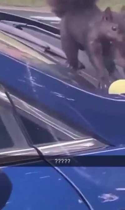 Great hidding spot bud.