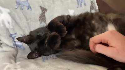 do air biscuits count?