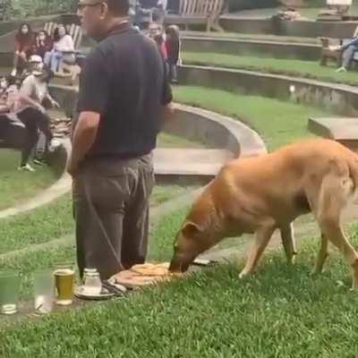 no one will notice one missing piece