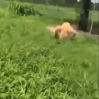 A Wholesome Donut For Your Mind, Body, and Soul