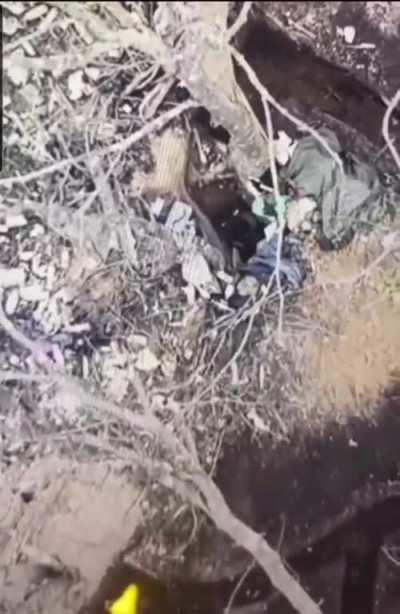 Fetch! Good ruzzian!