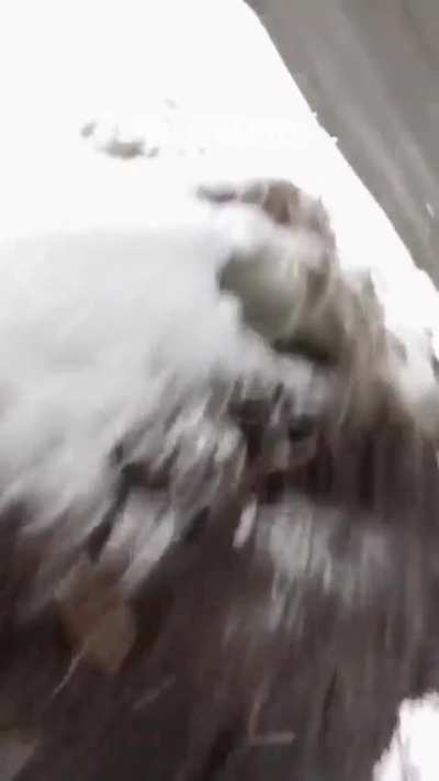 POV of a soldat being hunted by a drone. Date unknown.