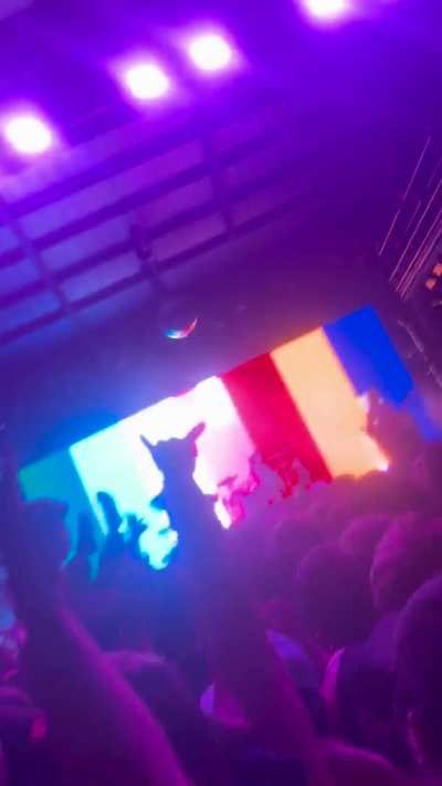 GREATEST SHOW I EVER BEEN TO IN MY LIFE!!!