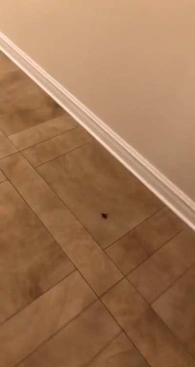 My unintentional content from this morning, not edited.