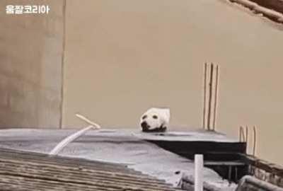 Didn't see that coming