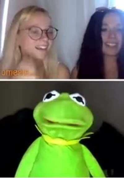 Kermit nooooooooo