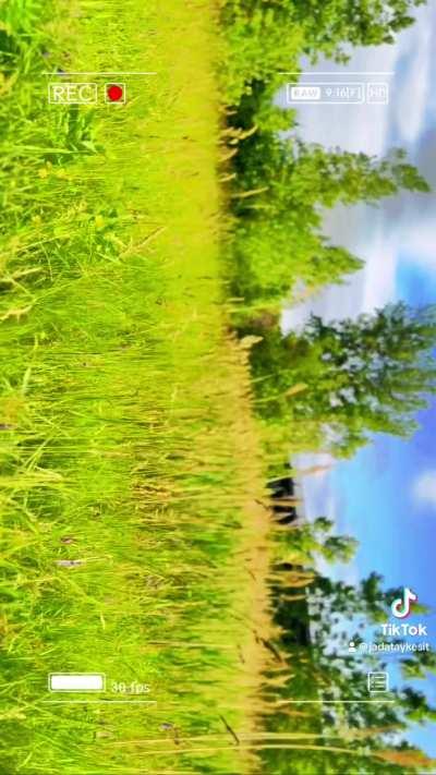 I want to get into Nature Documentary TikToks. Nature DocToks?