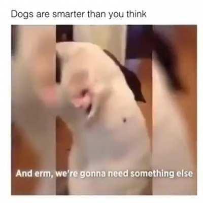 He knows exactly what he's being requested to bring. Smart.