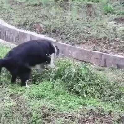 Yes please don't help