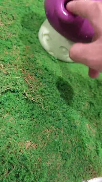 It's daytime, the Puff-shroom is asleep, why don't we... 🤭